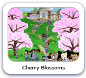 Cherry Blossoms