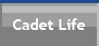 Cadet Pages